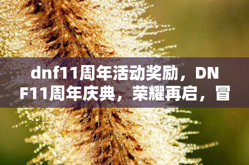 dnf11周年活动奖励,DNF11周年庆典,荣耀再启,冒险不止 dnf11周年活动奖励,DNF11周年庆典,荣耀再启,冒险不止