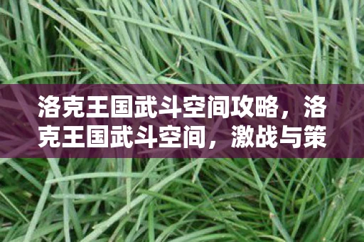 洛克王国武斗空间攻略,洛克王国武斗空间,激战与策略的碰撞 洛克王国武斗空间攻略,洛克王国武斗空间,激战与策略的碰撞