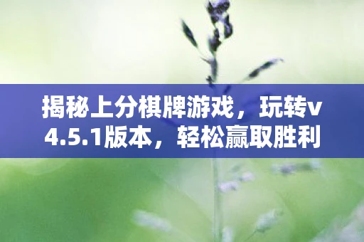 揭秘上分棋牌游戏，玩转v4.5.1版本，轻松赢取胜利果实！