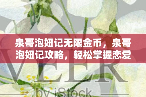 泉哥泡妞记无限金币，泉哥泡妞记攻略，轻松掌握恋爱之道