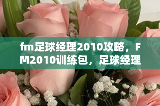 fm足球经理2010攻略，FM2010训练包，足球经理2010训练包全解析