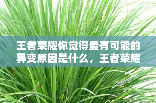 王者荣耀你觉得最有可能的异变原因是什么，王者荣耀最有可能的异变原因