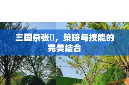 策略与技能的完美结合图片