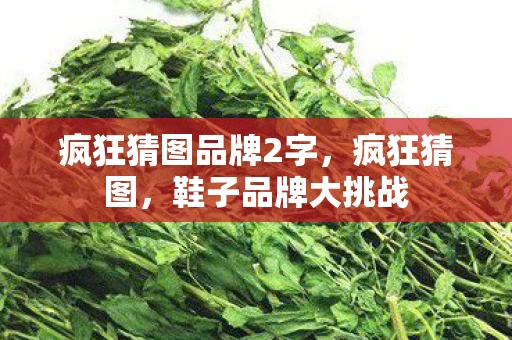 疯狂猜图品牌2字,疯狂猜图,鞋子品牌大挑战 疯狂猜图品牌2字,疯狂猜图,鞋子品牌大挑战