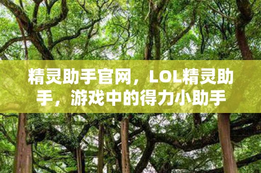 精灵助手官网，LOL精灵助手，游戏中的得力小助手