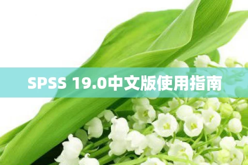 0中文版使用指南图片