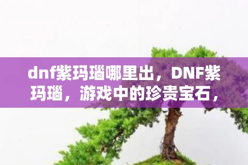 dnf紫玛瑙哪里出，DNF紫玛瑙，游戏中的珍贵宝石，开启神秘之门