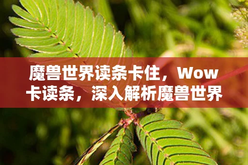 魔兽世界读条卡住,Wow卡读条,深入解析魔兽世界中的加载机制与优化策略 魔兽世界读条卡住,Wow卡读条,深入解析魔兽世界中的加载机制与优化策略