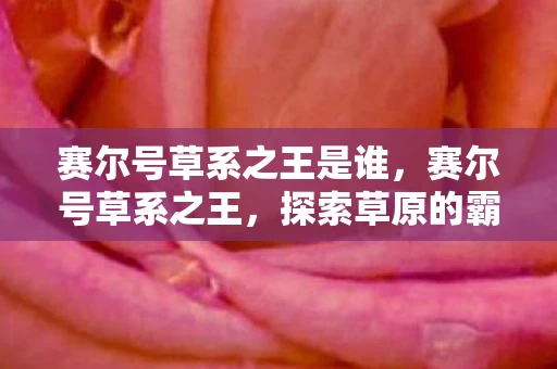 赛尔号草系之王是谁，赛尔号草系之王，探索草原的霸主之路