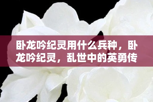 卧龙吟纪灵用什么兵种，卧龙吟纪灵，乱世中的英勇传奇