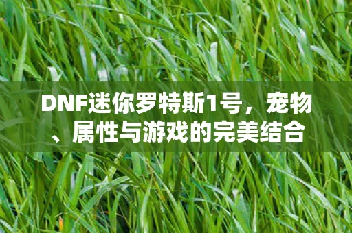 DNF迷你罗特斯1号图片