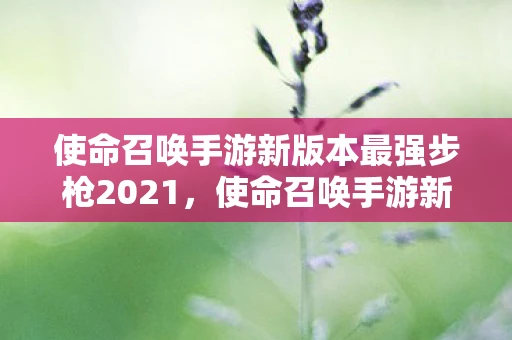使命召唤手游新版本最强步枪2021，使命召唤手游新版本最强步枪，深度解析与实战指南