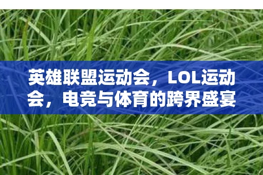 英雄联盟运动会,LOL运动会,电竞与体育的跨界盛宴 英雄联盟运动会,LOL运动会,电竞与体育的跨界盛宴