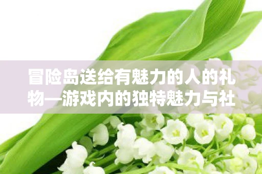 冒险岛送给有魅力的人的礼物—游戏内的独特魅力与社交互动 冒险岛送给有魅力的人的礼物—游戏内的独特魅力与社交互动