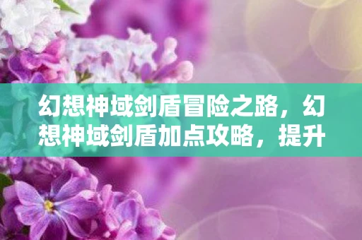幻想神域剑盾冒险之路，幻想神域剑盾加点攻略，提升角色实力，轻松掌握游戏节奏