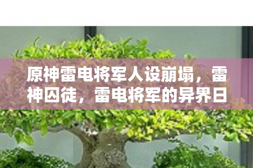 原神雷电将军人设崩塌，雷神囚徒，雷电将军的异界日常
