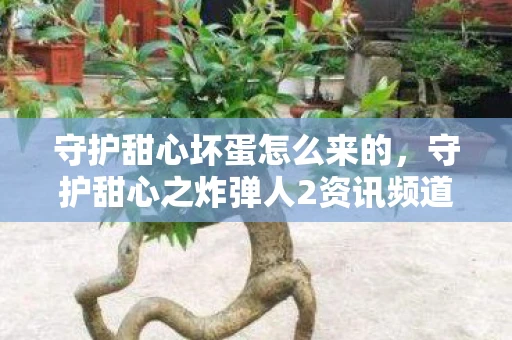 守护甜心坏蛋怎么来的,守护甜心之炸弹人2资讯频道—全新游戏玩法、特色内容抢先了解 守护甜心坏蛋怎么来的,守护甜心之炸弹人2资讯频道—全新游戏玩法、特色内容抢先了解