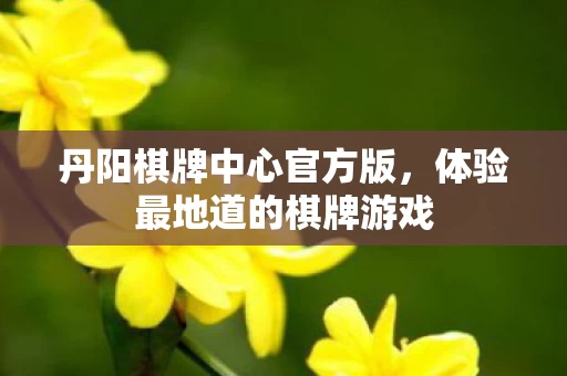 体验最地道的棋牌游戏图片