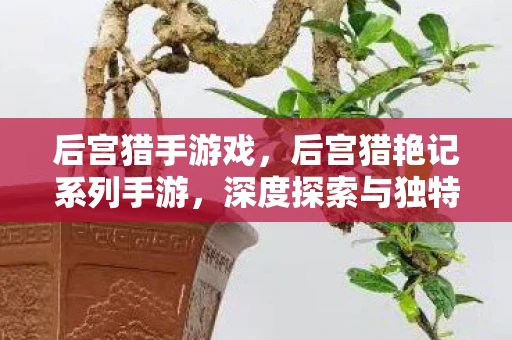 后宫猎手游戏，后宫猎艳记系列手游，深度探索与独特魅力