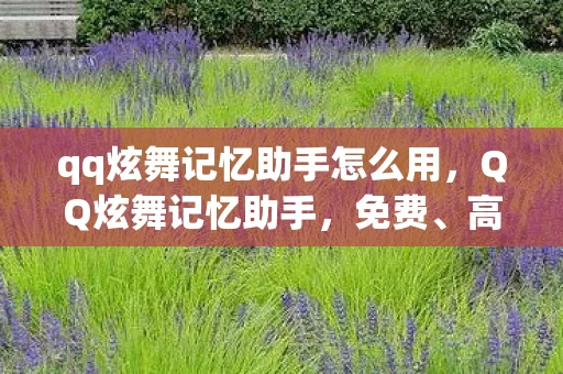 qq炫舞记忆助手怎么用，QQ炫舞记忆助手，免费、高分最新版资讯频道手册
