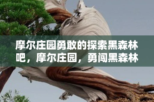 摩尔庄园勇敢的探索黑森林吧，摩尔庄园，勇闯黑森林的奇幻冒险—探索黑森林任务全攻略