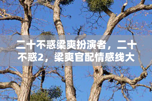 二十不惑梁爽扮演者，二十不惑2，梁爽官配情感线大揭秘