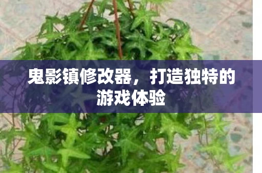 打造独特的游戏体验图片