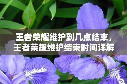 王者荣耀维护到几点结束，王者荣耀维护结束时间详解