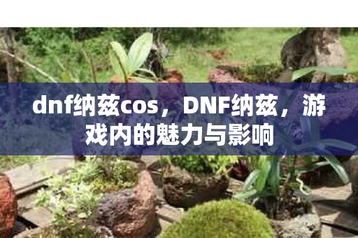 dnf纳兹cos，DNF纳兹，游戏内的魅力与影响