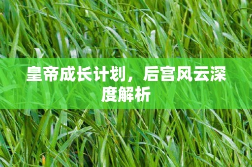 皇帝成长计划,后宫风云深度解析 皇帝成长计划,后宫风云深度解析