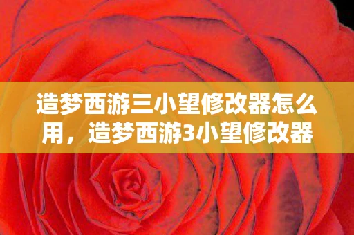造梦西游三小望修改器怎么用，造梦西游3小望修改器六代，探索游戏新境界，体验无尽乐趣