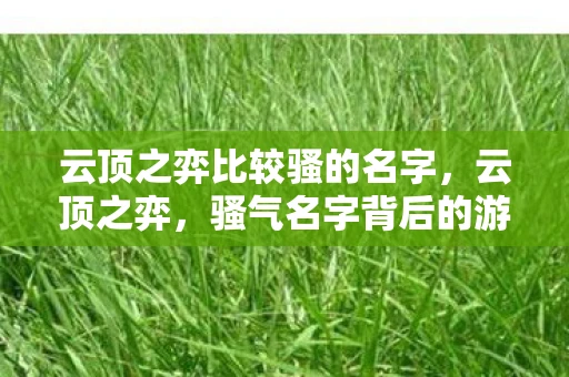 云顶之弈比较骚的名字,云顶之弈,骚气名字背后的游戏魅力 云顶之弈比较骚的名字,云顶之弈,骚气名字背后的游戏魅力