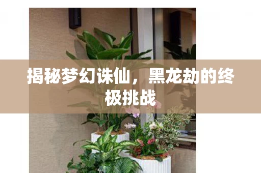 黑龙劫的终极挑战图片