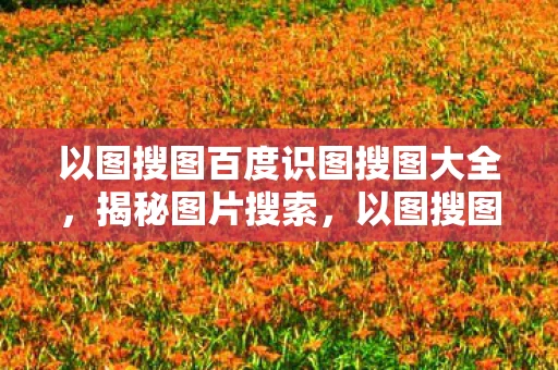 以图搜图百度识图搜图大全，揭秘图片搜索，以图搜图百度识图功能深度解析