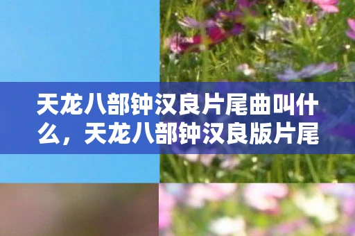 天龙八部钟汉良片尾曲叫什么,天龙八部钟汉良版片尾曲,游戏与音乐的完美融合 天龙八部钟汉良片尾曲叫什么,天龙八部钟汉良版片尾曲,游戏与音乐的完美融合