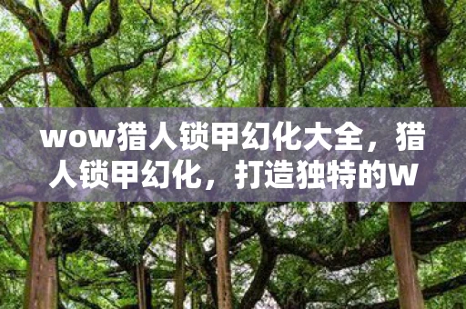 wow猎人锁甲幻化大全，猎人锁甲幻化，打造独特的WOW角色外观