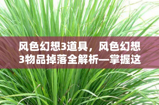 风色幻想3道具，风色幻想3物品掉落全解析—掌握这些，你就是最强大的冒险家！