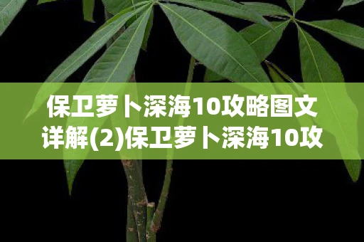 保卫萝卜深海10攻略图文详解(2)保卫萝卜深海10攻略，金萝卜布阵图全解析