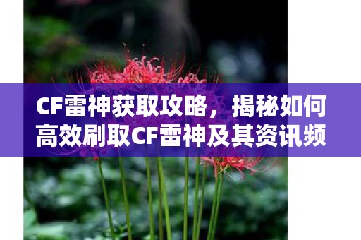 揭秘如何高效刷取CF雷神及其资讯频道图片