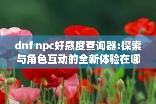 dnf npc好感度查询器:探索与角色互动的全新体验在哪,DNF NPC好感度查询器,探索与角色互动的全新体验 dnf npc好感度查询器:探索与角色互动的全新体验在哪,DNF NPC好感度查询器,探索与角色互动的全新体验