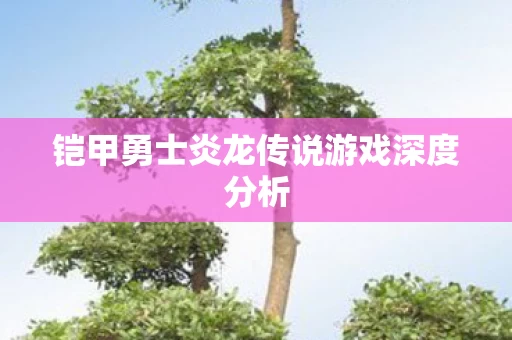 铠甲勇士炎龙传说游戏深度分析图片