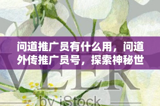 问道推广员有什么用，问道外传推广员号，探索神秘世界的仙侠之旅资讯