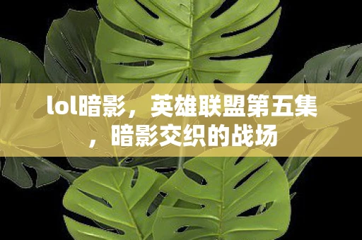 lol暗影，英雄联盟第五集，暗影交织的战场