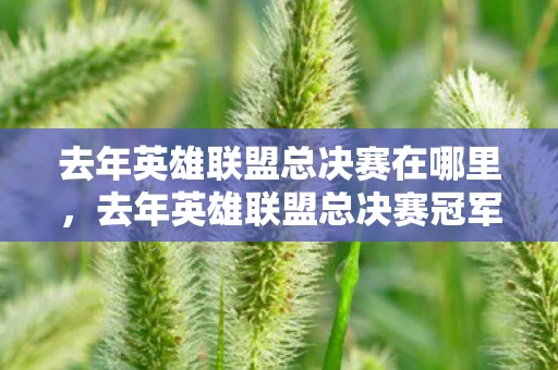 去年英雄联盟总决赛在哪里，去年英雄联盟总决赛冠军揭秘，荣耀背后的故事