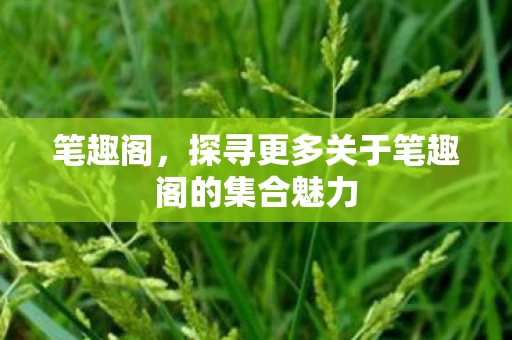探寻更多关于笔趣阁的集合魅力图片