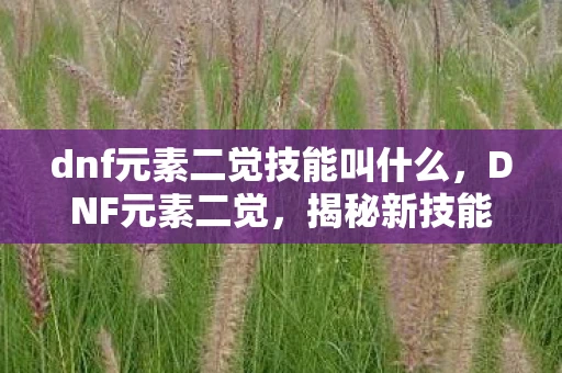 dnf元素二觉技能叫什么,DNF元素二觉,揭秘新技能的威力与影响 dnf元素二觉技能叫什么,DNF元素二觉,揭秘新技能的威力与影响