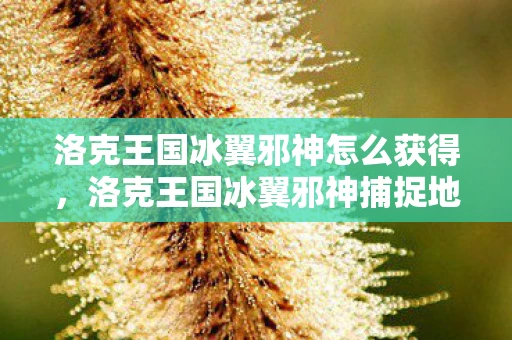 洛克王国冰翼邪神怎么获得，洛克王国冰翼邪神捕捉地点全解析