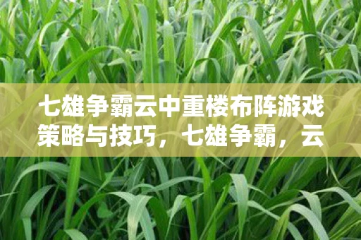 七雄争霸云中重楼布阵游戏策略与技巧，七雄争霸，云中重楼布阵游戏策略与技巧