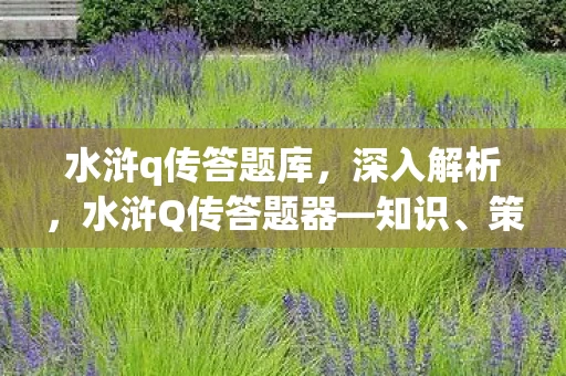 水浒q传答题库，深入解析，水浒Q传答题器—知识、策略与乐趣的完美结合