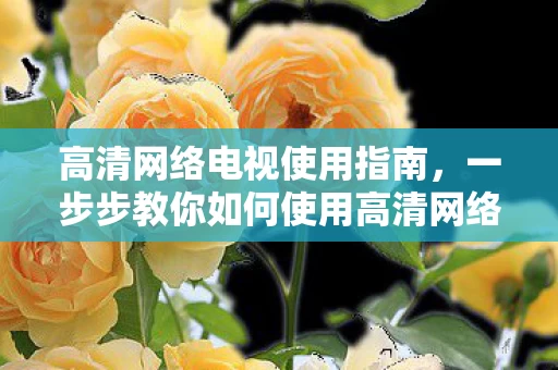 一步步教你如何使用高清网络电视图片